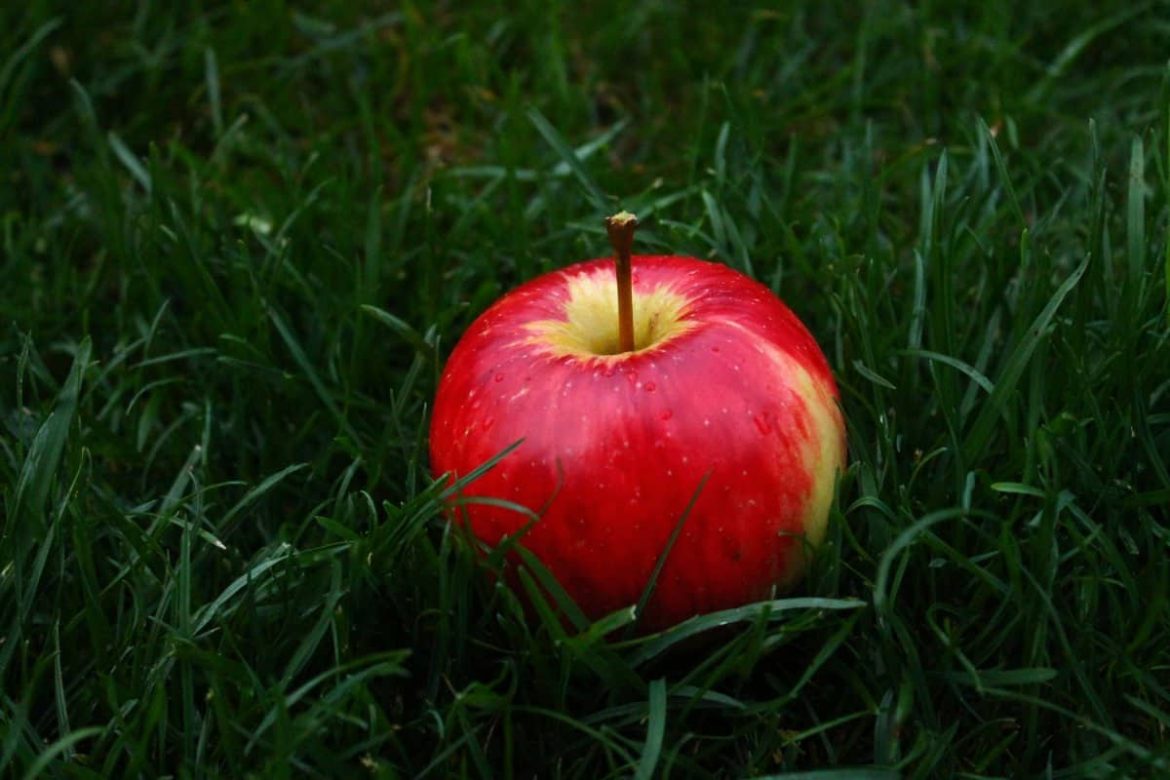 سیب آبگیری زگیل پوستی را درمان می کند